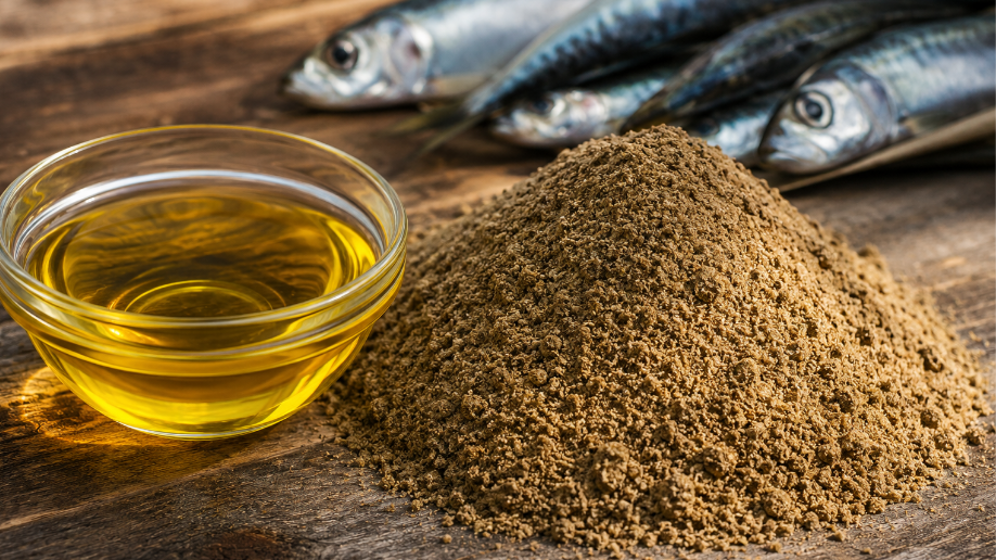 Menor producción de harina de pescado en Perú y Chile presiona al mercado mundial